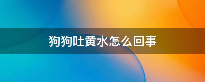 狗狗吐黄水怎么回事（8个月狗狗吐黄水怎么回事）