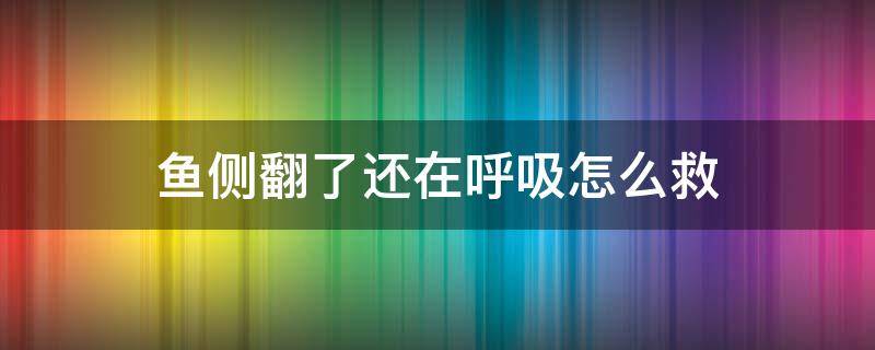 鱼侧翻了还在呼吸怎么救（长途运输鱼侧翻了还在呼吸怎么救）