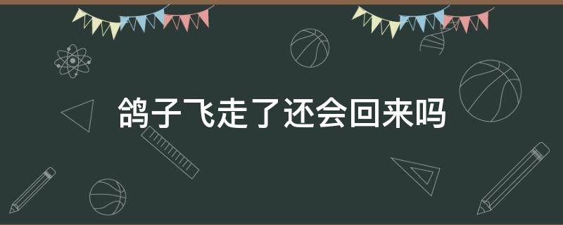 鸽子飞走了还会回来吗（鸽子飞走了还会回来吗家里有幼鸽）