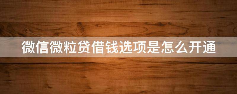 微信微粒贷借钱选项是怎么开通 微信微粒贷借钱功能怎么开通