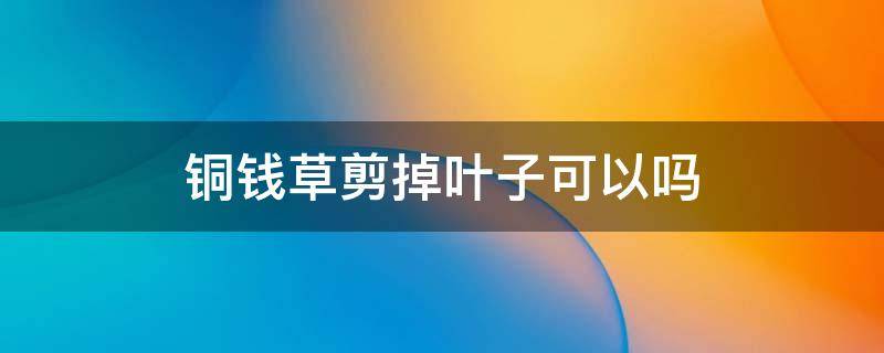 铜钱草剪掉叶子可以吗 铜钱草叶子被剪了能长叶子吗