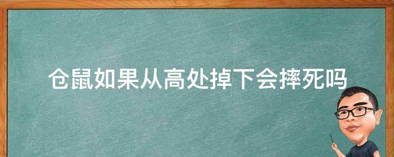 仓鼠如果从高处掉下会摔死吗 仓鼠高空掉下来会摔死吗