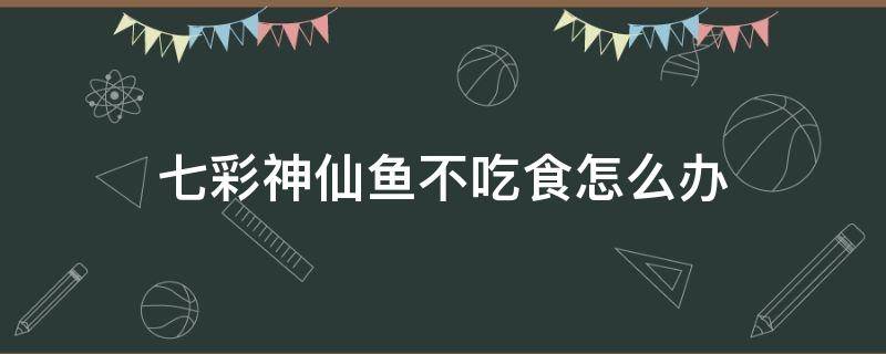 七彩神仙鱼不吃食怎么办 七彩神仙鱼不吃食怎么回事