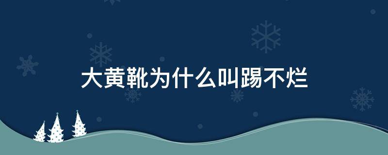 大黄靴为什么叫踢不烂（踢不烂大黄靴哪个型号好）