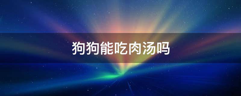 狗狗能吃肉汤吗 狗肉可以喝汤吗