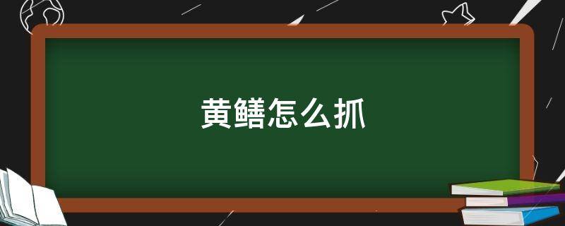 黄鳝怎么抓（田里的黄鳝怎么抓）