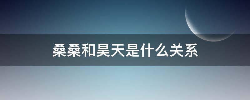 桑桑和昊天是什么关系（桑桑和昊天是同一个人吗）