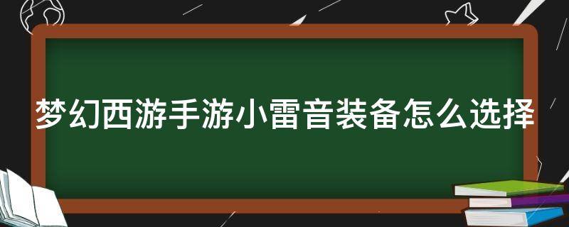 梦幻西游手游小雷音装备怎么选择 梦幻手游小雷音带什么装备