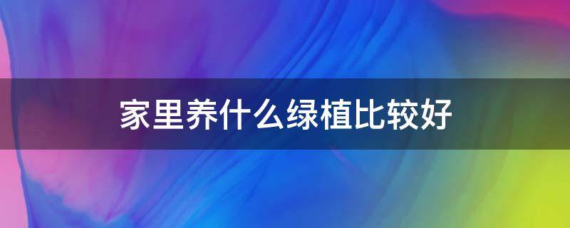 家里养什么绿植比较好 家里养什么样的绿植好