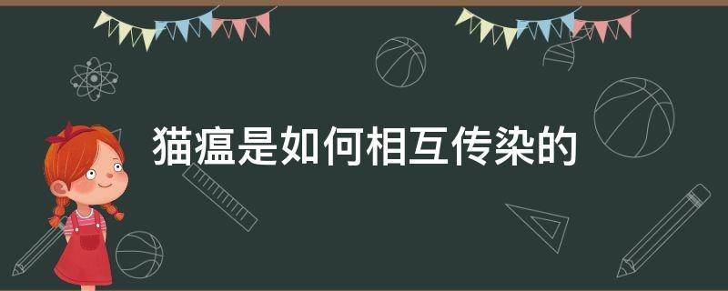 猫瘟是如何相互传染的（猫瘟通过什么方式传染给别的猫）