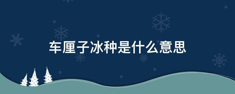 车厘子冰种是什么意思 什么叫冰种车厘子