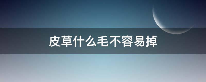 皮草什么毛不容易掉（皮草的毛会掉吗）