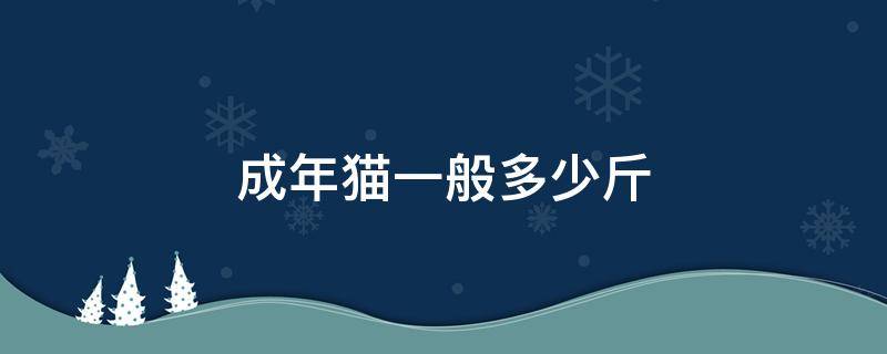 成年猫一般多少斤 成年猫一般多少斤正常