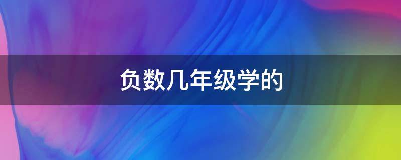 负数几年级学的（小学负数几年级学的）