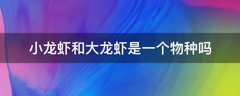 小龙虾和大龙虾是一个物种吗 小龙虾到底是什么物种