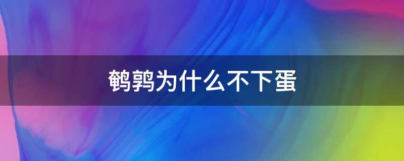 鹌鹑为什么不下蛋（鹌鹑为什么不下蛋了）