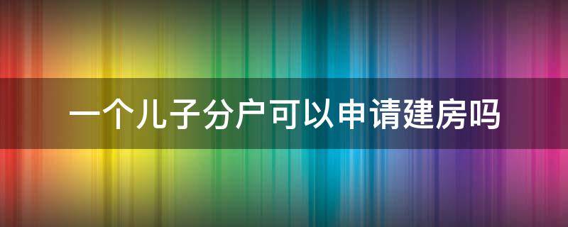 一个儿子分户可以申请建房吗 到底先给孩子分户还是先建房
