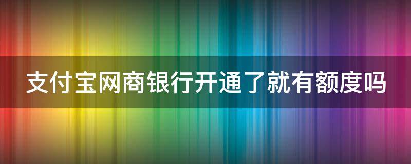 支付宝网商银行开通了就有额度吗（支付宝网商银行开通了就有额度吗）