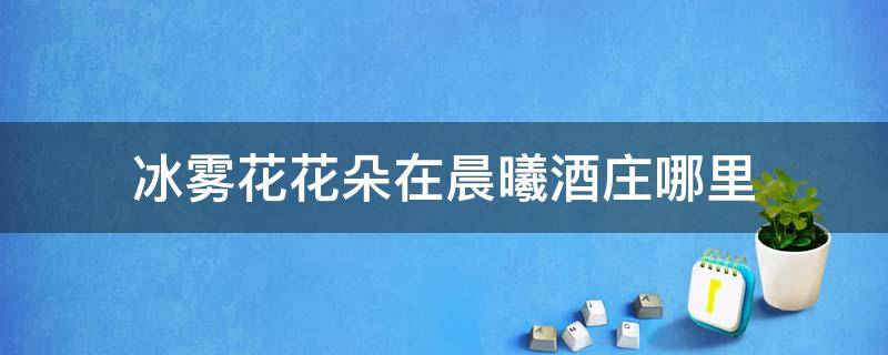 冰雾花花朵在晨曦酒庄哪里 晨曦酒庄附近的冰雾花