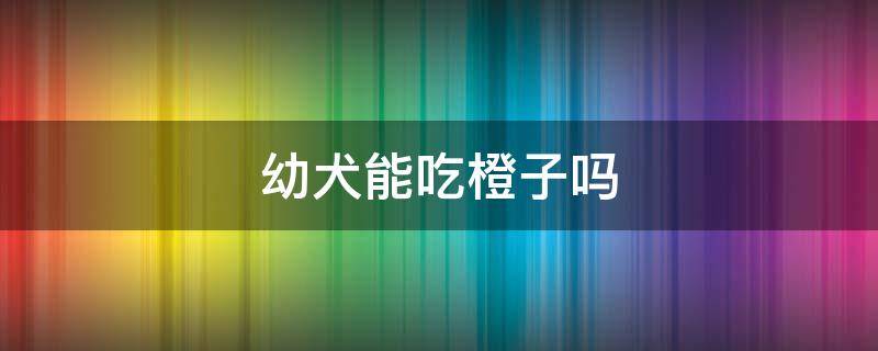 幼犬能吃橙子吗（小型犬可以吃橙子吗）