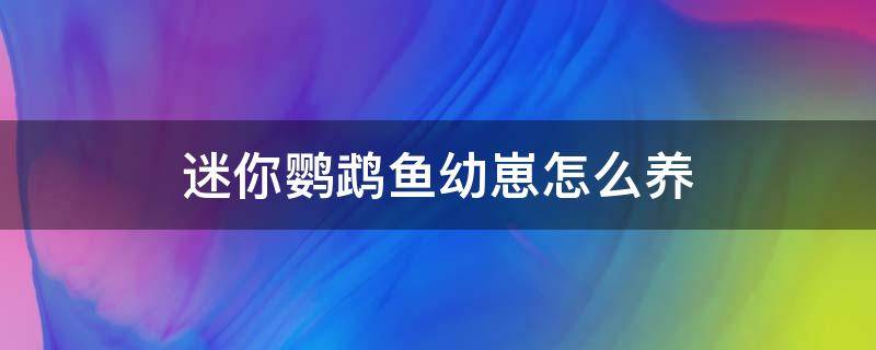 迷你鹦鹉鱼幼崽怎么养 迷你鹦鹉鱼的幼崽如何饲养