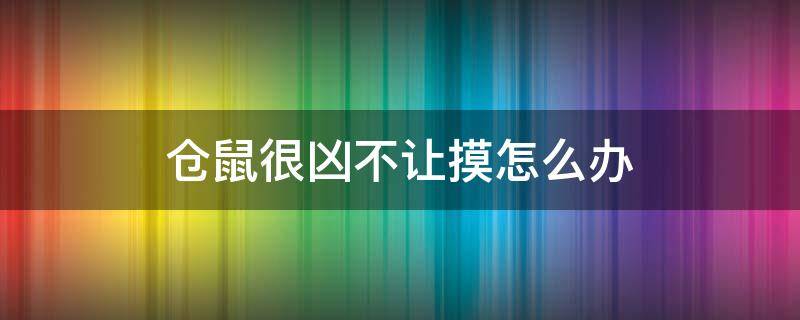 仓鼠很凶不让摸怎么办 仓鼠总是不让摸怎么回事