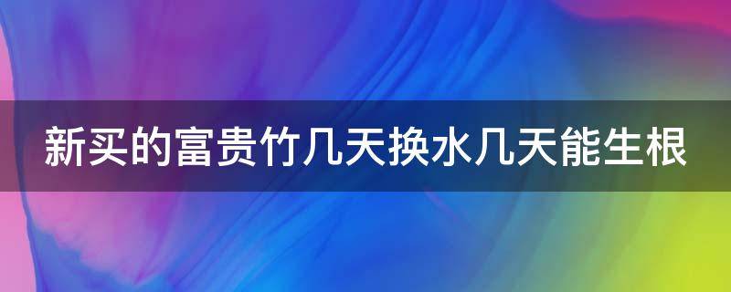 新买的富贵竹几天换水几天能生根 新买富贵竹几天可以长出根