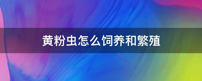 黄粉虫怎么饲养和繁殖（黄粉虫的养殖步骤）