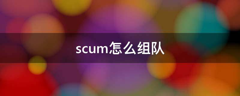 scum怎么组队 scum怎么组队一起玩
