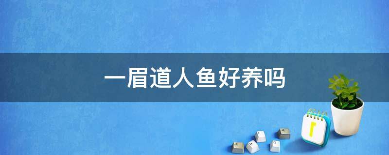 一眉道人鱼好养吗 养一眉道人鱼注意事项