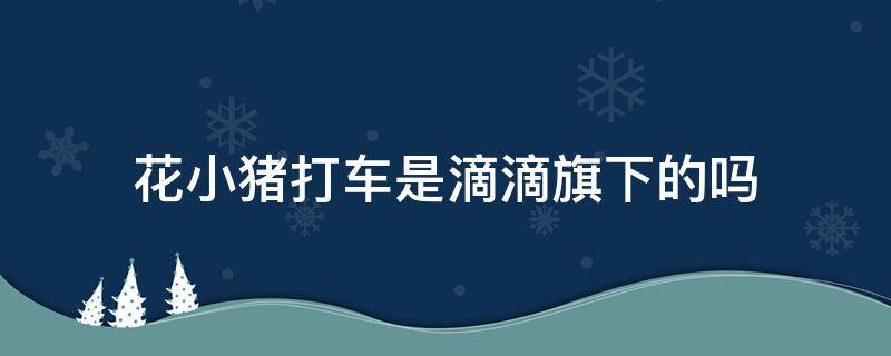花小猪打车是滴滴旗下的吗（花小猪打车与滴滴打车是一家吗）