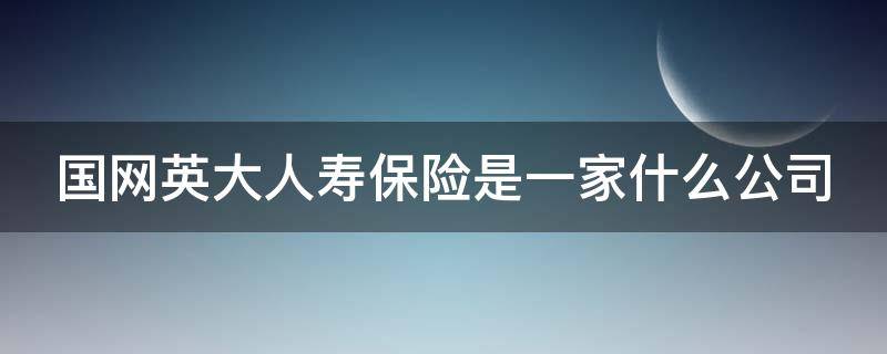 国网英大人寿保险是一家什么公司（国家电网英大人寿保险公司）