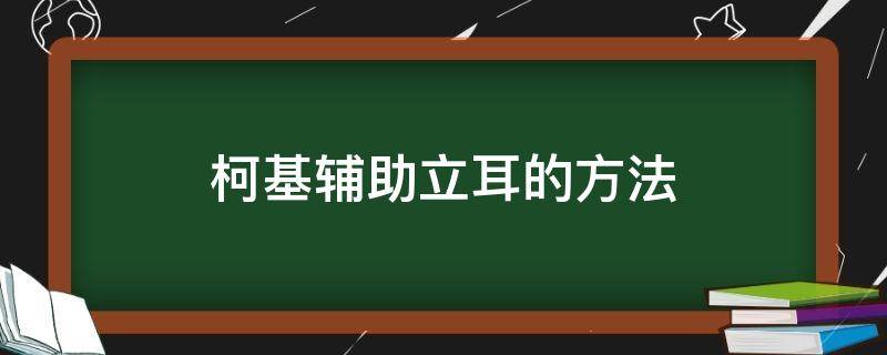 柯基辅助立耳的方法 帮助柯基立耳的方法