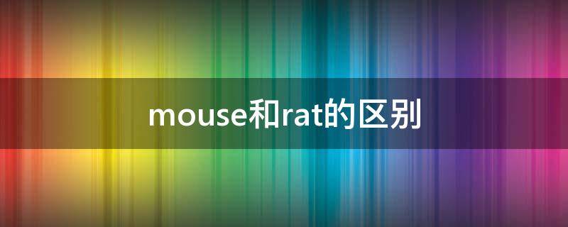 mouse和rat的区别 英文老鼠mouse和rat的区别