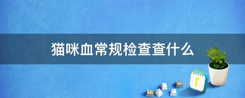 猫咪血常规检查查什么（猫咪血常规检查能查出什么）