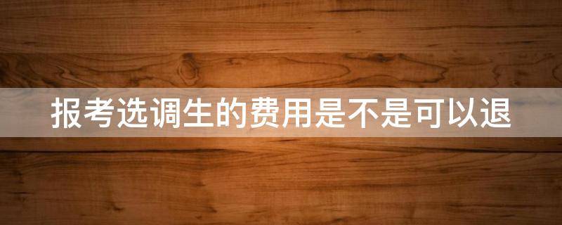 报考选调生的费用是不是可以退 选调生交费吗