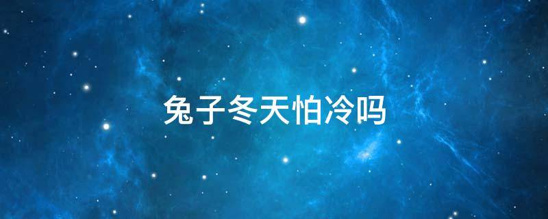 兔子冬天怕冷吗 养兔子冬天兔子怕不怕冷