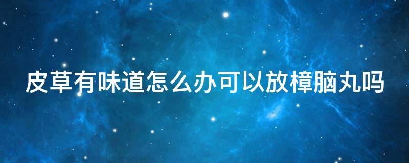 皮草有味道怎么办可以放樟脑丸吗（皮草有味道怎么办可以放樟脑丸吗视频）