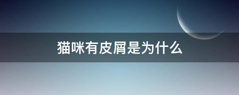 猫咪有皮屑是为什么（猫咪会有皮屑嘛.?）