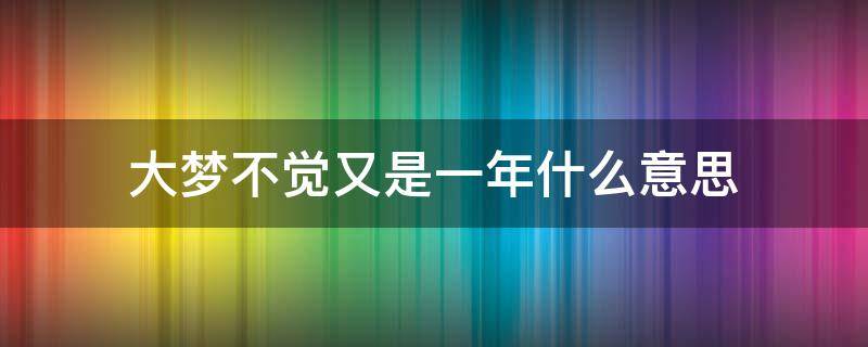 大梦不觉又是一年什么意思（大梦不觉又是一年）