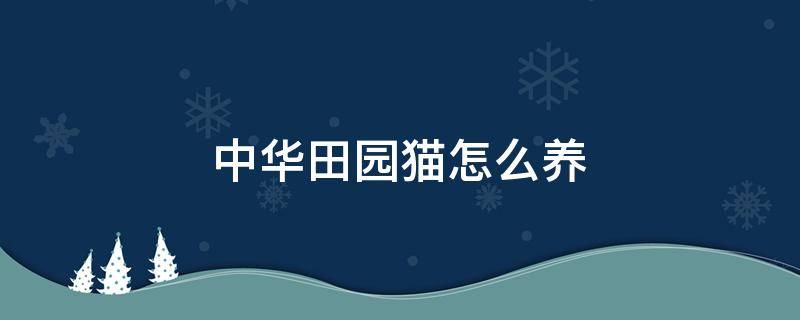 中华田园猫怎么养 中华田园猫怎么养的胖胖的