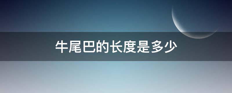 牛尾巴的长度是多少（牛的尾巴长多少宽多少）