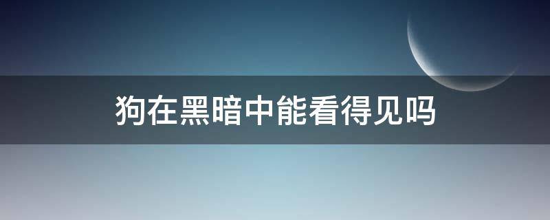 狗在黑暗中能看得见吗（狗在黑暗中能看到吗）