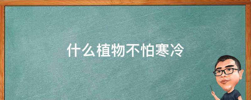 什么植物不怕寒冷（什么植物不怕寒冷?）