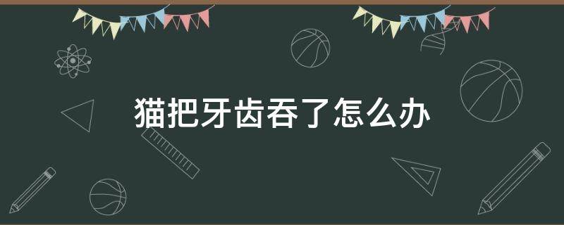 猫把牙齿吞了怎么办 猫咪把牙齿吞掉了