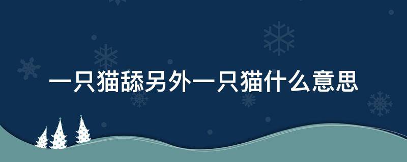 一只猫舔另外一只猫什么意思 一只猫一直舔另一只猫什么意思