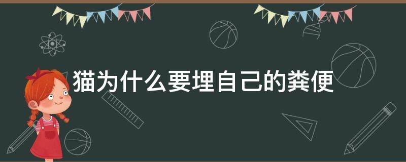 猫为什么要埋自己的粪便 猫为什么要掩埋粪便