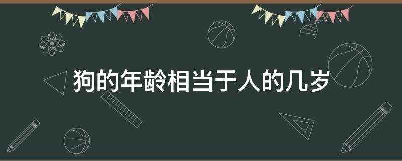 狗的年龄相当于人的几岁（狗狗的年龄相当于人的年龄）