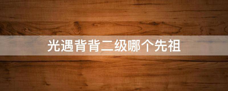 光遇背背二级哪个先祖 光遇背背二级先祖是哪个