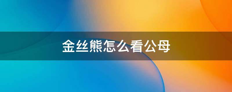 金丝熊怎么看公母 金丝熊怎么判断公母